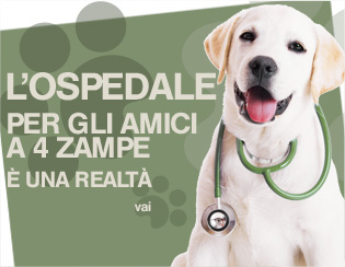 l'ospedale
