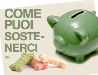 sostenerci